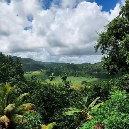 Appartement T2 Le Vallon Au Marin Martinique Le Marin Экстерьер фото